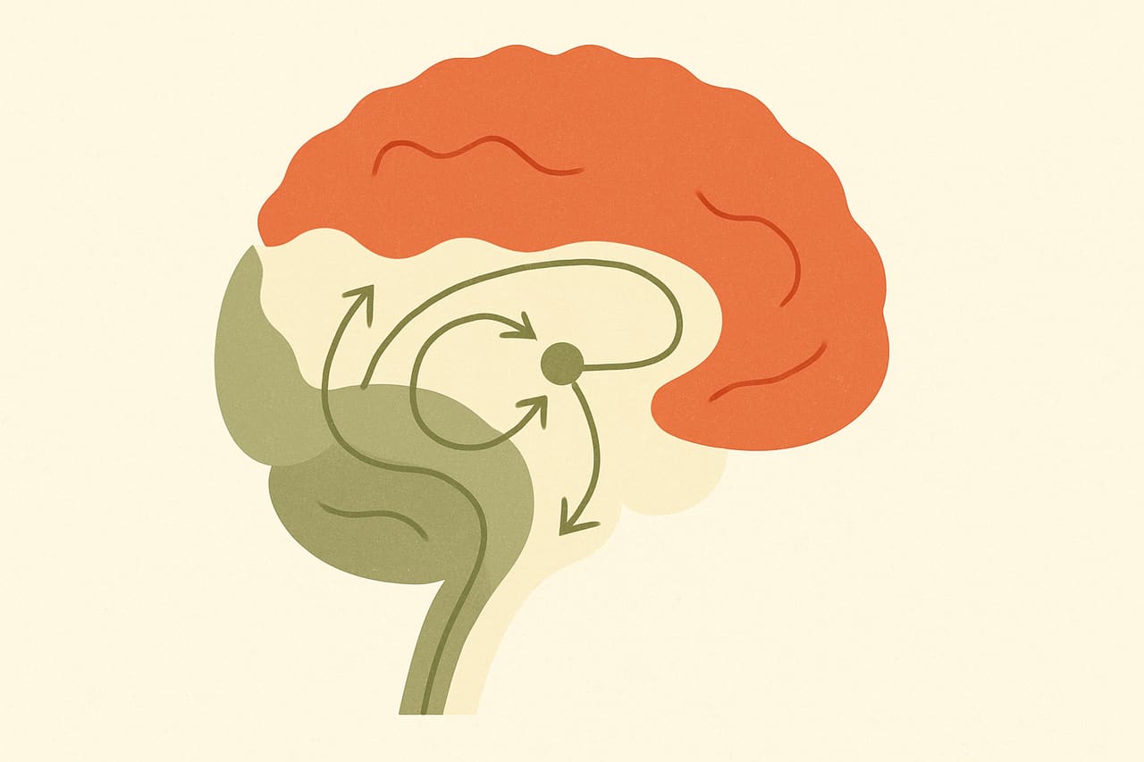 Why 'Calm Down' Never Works